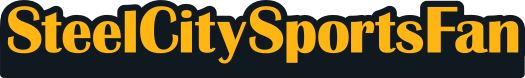 STEEL CITY SPORTS FAN